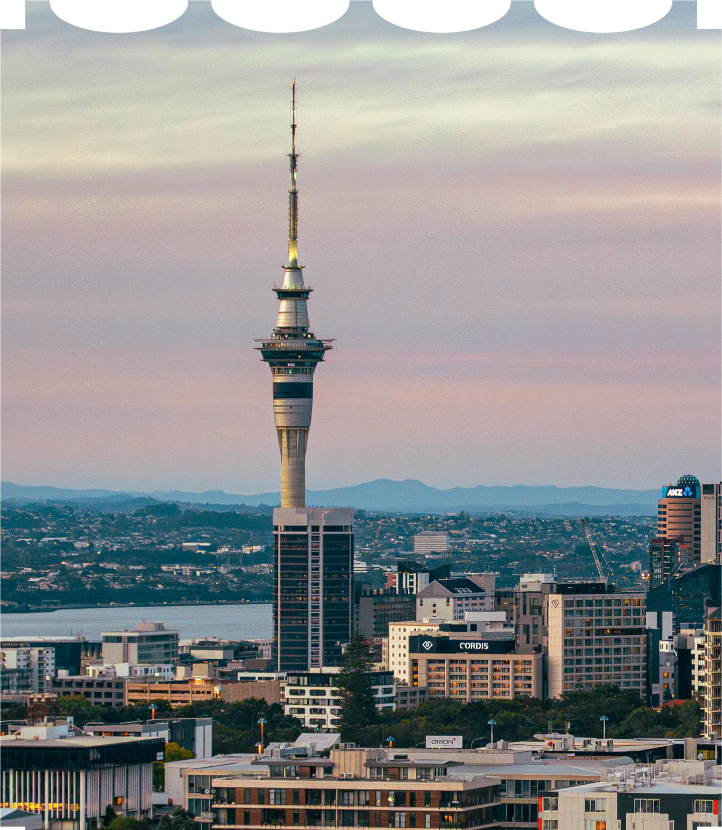 NZ-1