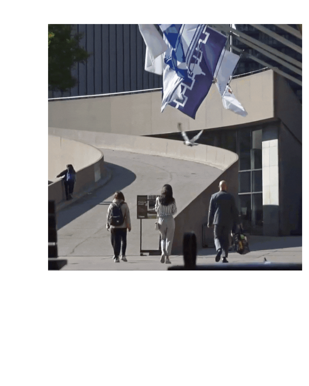 activityplexshort
